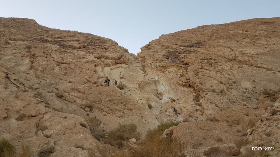 טיול לסנפיר הגדול